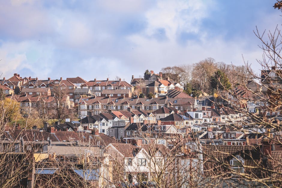 A scenic view of a residential area with closely packed houses on a hillside, featuring a mix of brick and painted facades, peaked roofs, and chimneys. The houses are surrounded by sparse leafless trees, indicating late autumn or early winter. The sky is partly cloudy with patches of blue, suggesting a clear day. The foreground includes some branches, slightly blurred, framing the scene. This image highlights an expansive neighborhood, demonstrating a typical UK suburban landscape, suitable for content related to domestic cleaning or property maintenance. For professional surface cleaning and deep cleaning services, Streatham Carpet Cleaning provides same-day availability in Streatham Hill, as seen on their website.